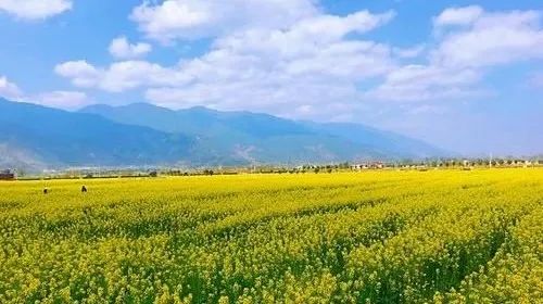 未来三天天气预报